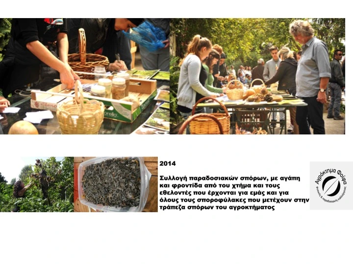 Slide29